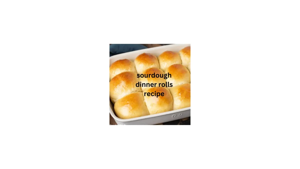 sourdough dinner rolls 