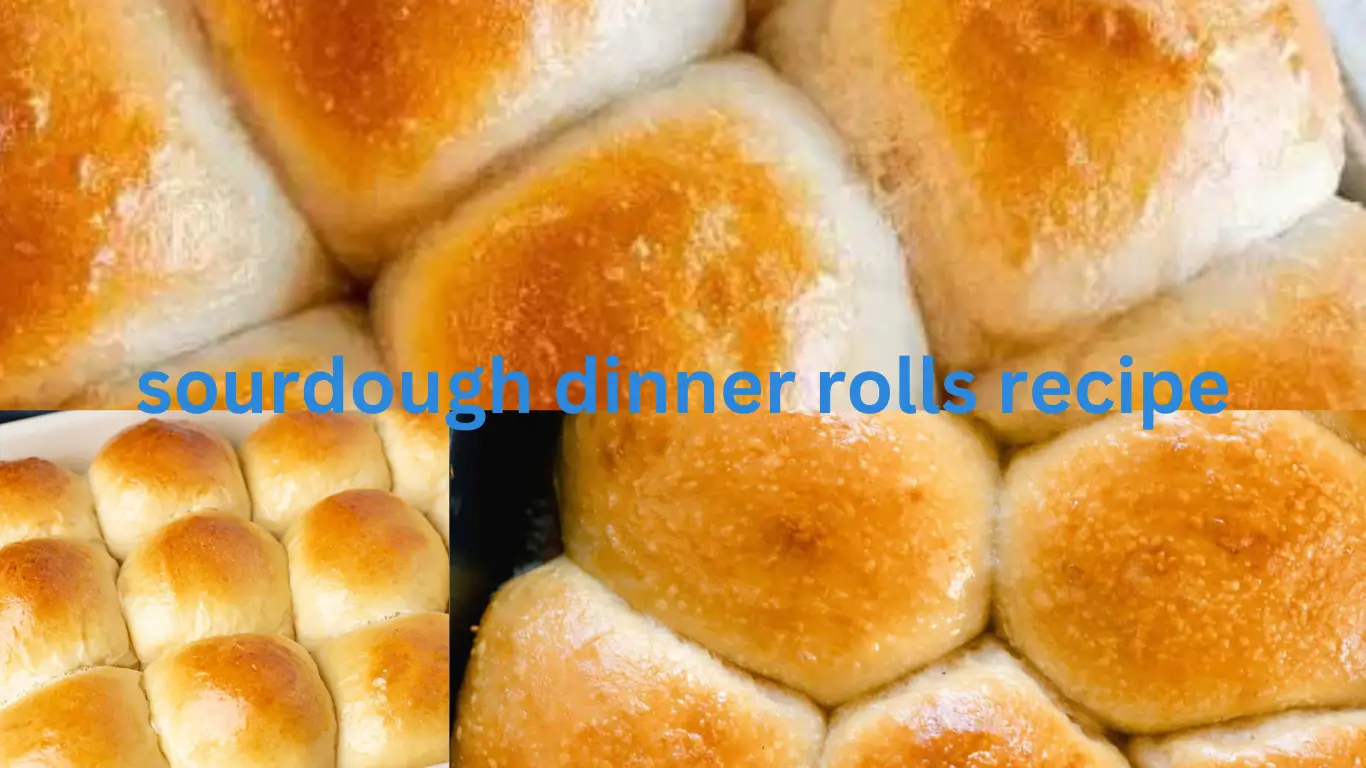 sourdough dinner rolls recipe