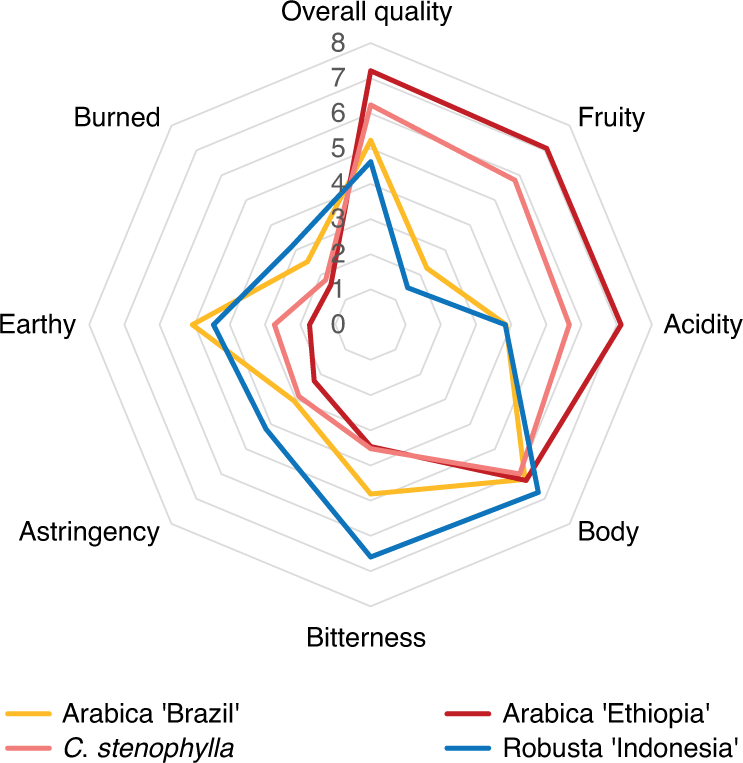 Radar graph for sensory flavour profile using a light roast for stenophylla Arabica