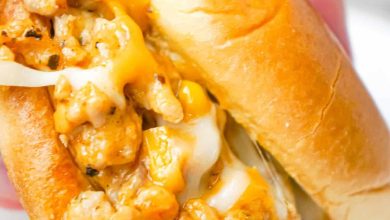 cajun chicken sloppy joes recipes